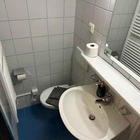 Hotel-landgasthof Katschtalerhof فندق 3*